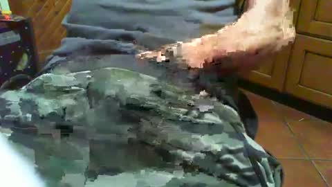 ciop1962 online show from 12/02/24, 07:05