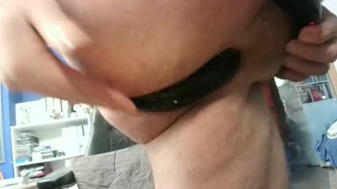 Circus Bear online show from 01/29/25, 03:58