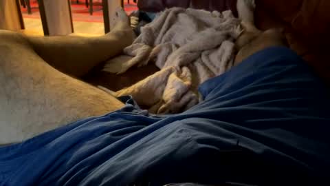 Cjd32 online show from 12/13/24, 09:52