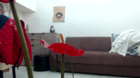 Deea xxx online show from 12/22/24, 09:44