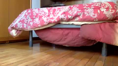 Snapshot of claudi779 chatting on 12/29/24, 03:24 claudi779 online show from 12/29/24, 03:24