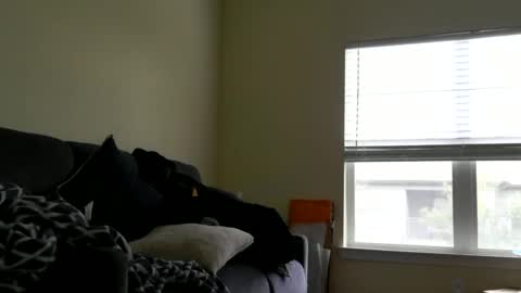 instayour big commander online show from 12/24/24, 09:22