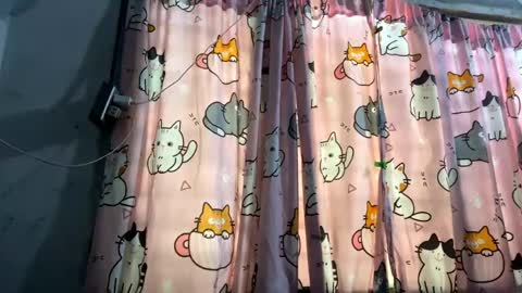 Snapshot of clorahosfeld chatting on 05/12/26, 06:43 Mikki online show from 05/12/26, 06:43