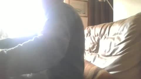 Snapshot of cock9635 chatting on 12/28/24, 07:55 cock9635 online show from 12/28/24, 07:55