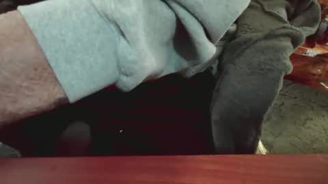 Snapshot of cody81421 chatting on 01/15/25, 05:47 cody81421 online show from 01/15/25, 05:47