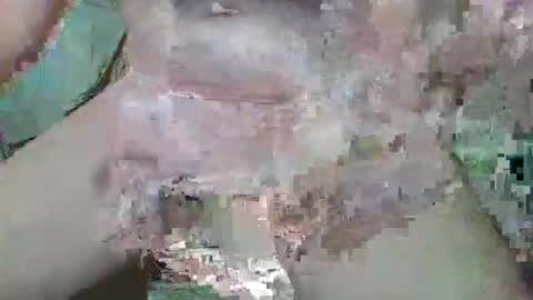 cogela_sin_miedo online show from 10/20/25, 11:27