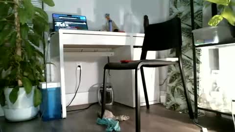 Snapshot of colorfullydark chatting on 03/03/25, 12:26 Noni online show from 03/03/25, 12:26