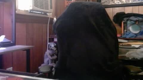 Nelson or ComicKing and sometime Peachy143 online show from 03/08/26, 01:59