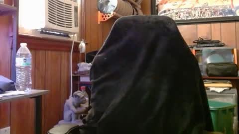 Nelson or ComicKing and sometime Peachy143 online show from 05/04/26, 10:28