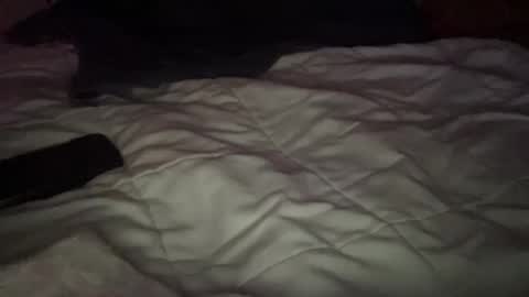 Snapshot of concretecarpenter chatting on 11/09/25, 08:12 concretecarpenter online show from 11/09/25, 08:12