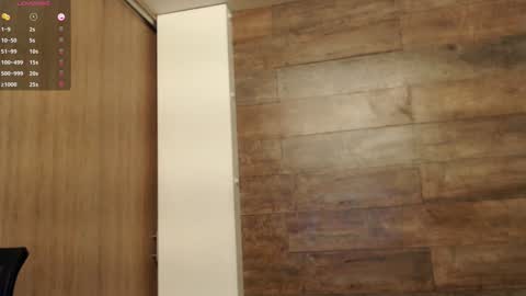 Snapshot of connor_h1 chatting on 01/17/25, 04:17 connor_h1 online show from 01/17/25, 04:17