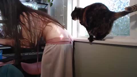 Snapshot of constantcumquest chatting on 09/26/25, 08:24 ANR Mommy online show from 09/26/25, 08:24