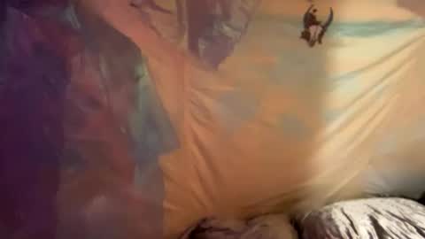 coochiechakrahealer online show from 12/30/24, 09:48