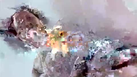 Mount N Drew online show from 11/17/25, 07:08