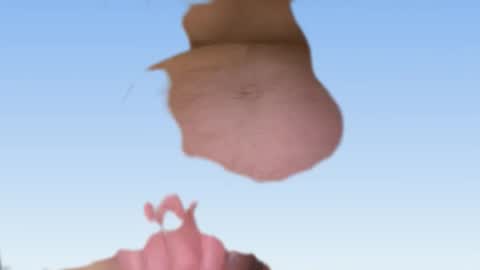 whatever you want it to be online show from 02/24/26, 07:06