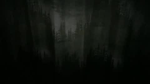 Cool Dude online show from 12/21/24, 10:08