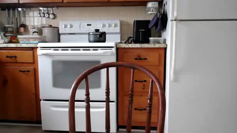 Cool Dude online show from 02/19/25, 07:59