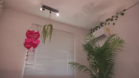 ROSELL 3   online show from 02/20/26, 08:31