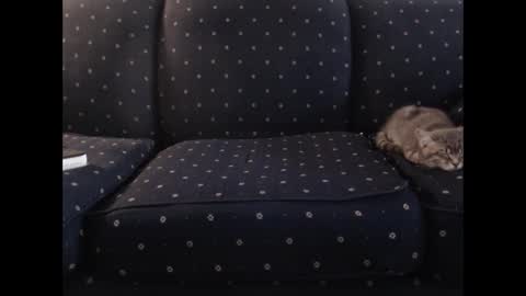 copper_crotch online show from 12/19/25, 01:34