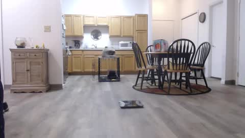 copper_crotch online show from 01/11/26, 01:43