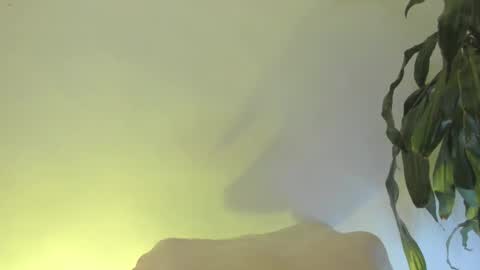 Snapshot of coral_princex chatting on 02/20/26, 06:26 Coral princex online show from 02/20/26, 06:26