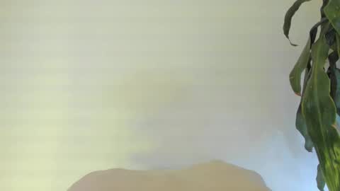 Snapshot of coral_princex chatting on 02/24/26, 06:11 Coral princex online show from 02/24/26, 06:11