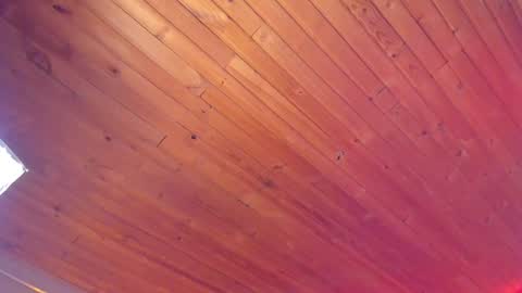 Coraline online show from 01/18/25, 01:19