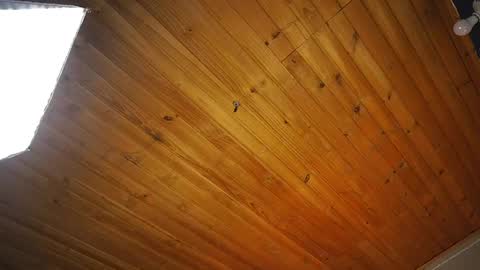 Snapshot of coraline_latin chatting on 04/14/26, 12:55 Coraline online show from 04/14/26, 12:55