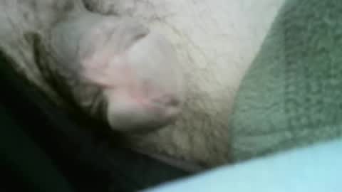 Snapshot of core_i007 chatting on 04/14/26, 05:08 core-i007 online show from 04/14/26, 05:08