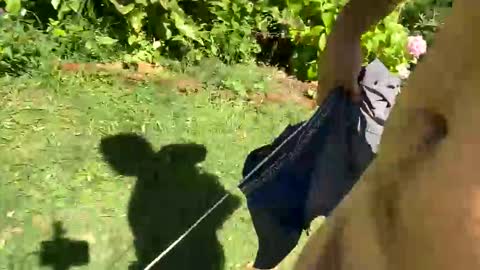 Countrydilf online show from 01/06/25, 02:25