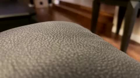 Snapshot of cranada777 chatting on 02/27/26, 01:49 Cranada777 online show from 02/27/26, 01:49