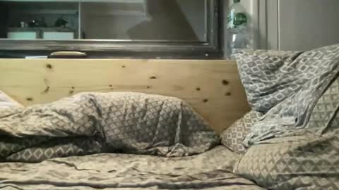 Snapshot of crapaud75018 chatting on 11/15/25, 08:49 crapaud75018 online show from 11/15/25, 08:49