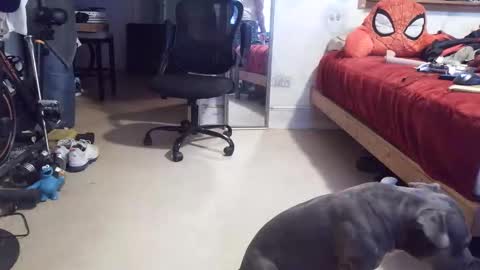 Snapshot of crazy4feetmanic chatting on 04/16/26, 11:07 drbucknaked online show from 04/16/26, 11:07