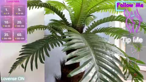 Snapshot of crazy_muscle chatting on 11/10/25, 05:28 tattoodoll online show from 11/10/25, 05:28