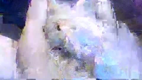 Snapshot of crazydog3690 chatting on 03/12/26, 01:34 crazydog3690 online show from 03/12/26, 01:34