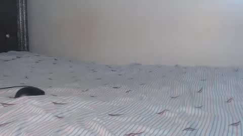 creamybabes0 online show from 01/06/26, 05:33