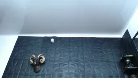 Hanna  online show from 02/13/25, 04:54