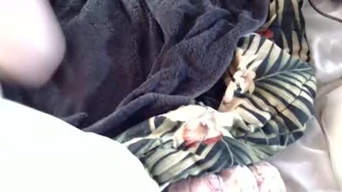 Snapshot of crucifux69 chatting on 01/30/25, 08:31 Crucifux online show from 01/30/25, 08:31