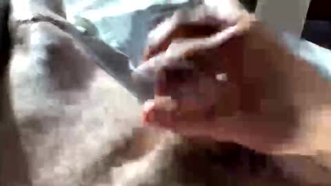 Snapshot of crushit chatting on 01/10/26, 05:04 Crushit online show from 01/10/26, 05:04