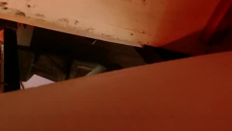 cryan96 online show from 02/04/25, 08:56