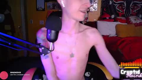 CryptidTwink online show from 04/03/26, 06:22