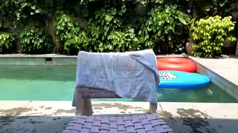 Snapshot of cryptongood chatting on 02/25/25, 03:52 Lin inst lingoodyy online show from 02/25/25, 03:52