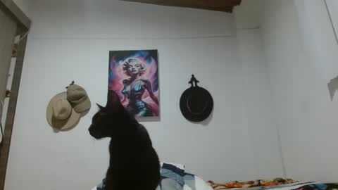 Crystal Blaze online show from 03/17/26, 09:12