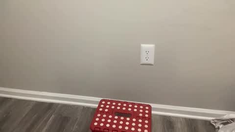 Snapshot of ctr_rtc chatting on 02/04/26, 08:47 BlacTrojan OF online show from 02/04/26, 08:47