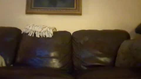 cubforotter online show from 10/19/25, 10:16