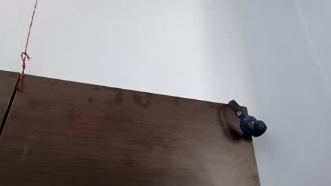 cuddlemuffins online show from 03/08/26, 05:00