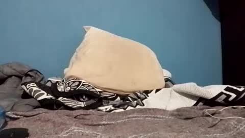 cumbian_chero online show from 02/22/25, 01:22