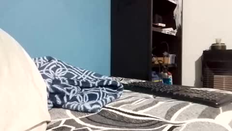 Snapshot of cumbian_chero chatting on 02/23/26, 11:07 cumbian_chero online show from 02/23/26, 11:07