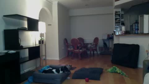 cumfiesta1 online show from 02/02/25, 04:22