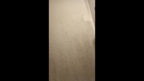 cumplay79 online show from 01/19/26, 05:11